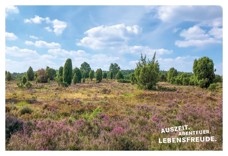 Produktbild: 52 kleine & große Eskapaden in der Lüneburger Heide