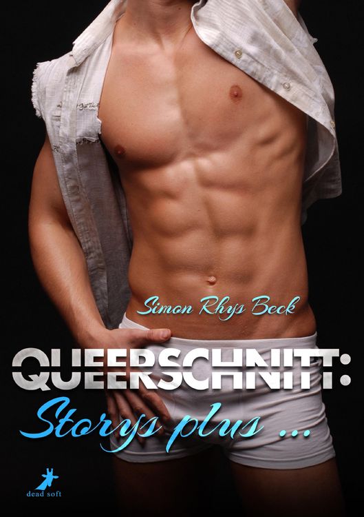 Produktbild: Queerschnitt: Storys plus ...