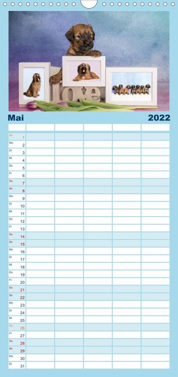 Produktbild: Briardbabys in ihren ersten Wochen - Familienplaner hoch (Wandkalender 2022 , 21 cm x 45 cm, hoch)