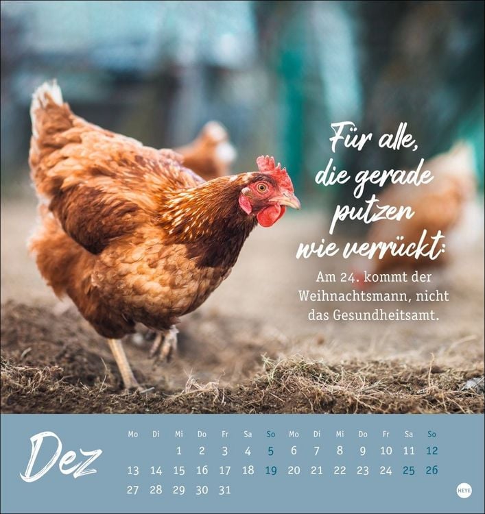 Produktbild: H&uuml;hner Postkartenkalender 2027 - Ach, du verr&uuml;cktes Huhn!