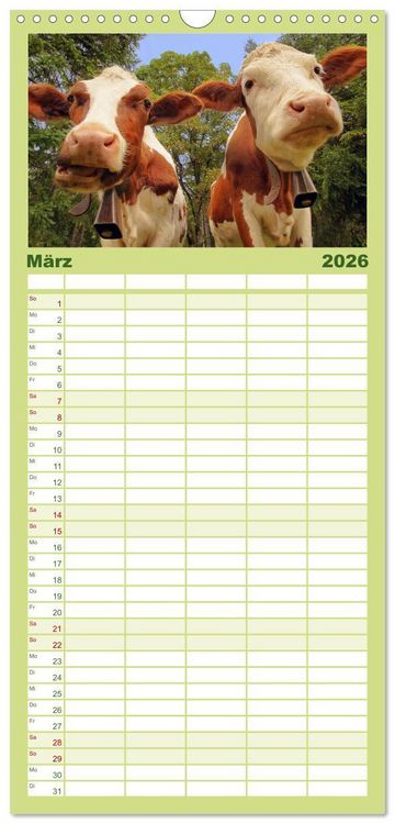 Produktbild: Familienplaner 2026 - Muh, M&auml;h, Miau & Co mit 5 Spalten (Wandkalender, 21 x 45 cm) CALVENDO
