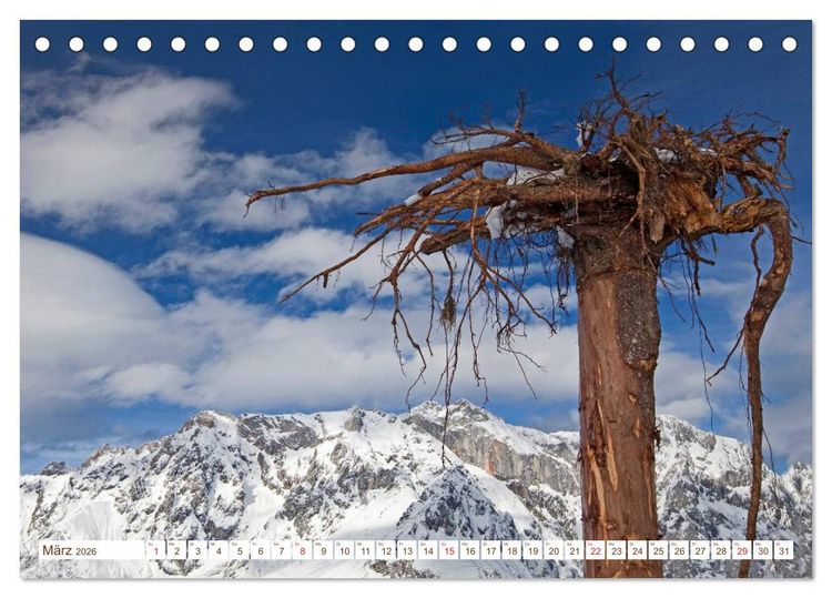 Produktbild: Alles aus Holz (Tischkalender 2026 DIN A5 quer), CALVENDO Monatskalender