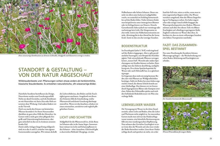 Produktbild: Wild & bunt