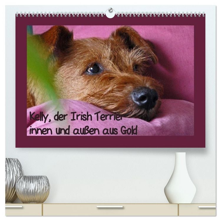 Produktbild: Kelly, der Irish Terrier - innen und au&szlig;en aus Gold (hochwertiger Premium Wandkalender 2026 DIN A2 quer), Kunstdruck in Hochglanz