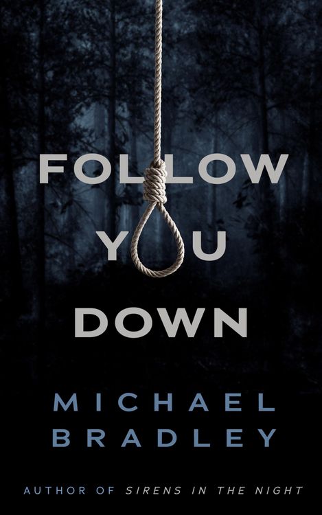 Produktbild: Follow You Down