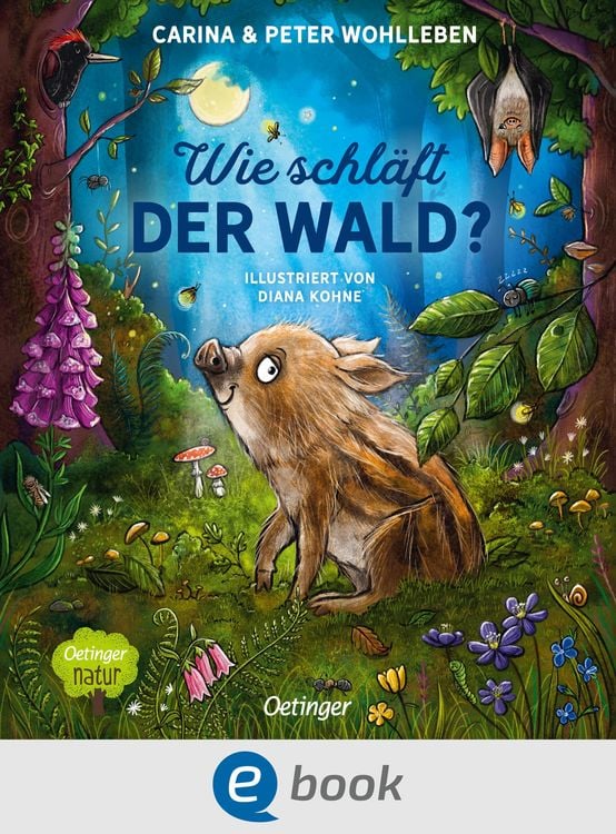 Produktbild: Wie schläft der Wald?