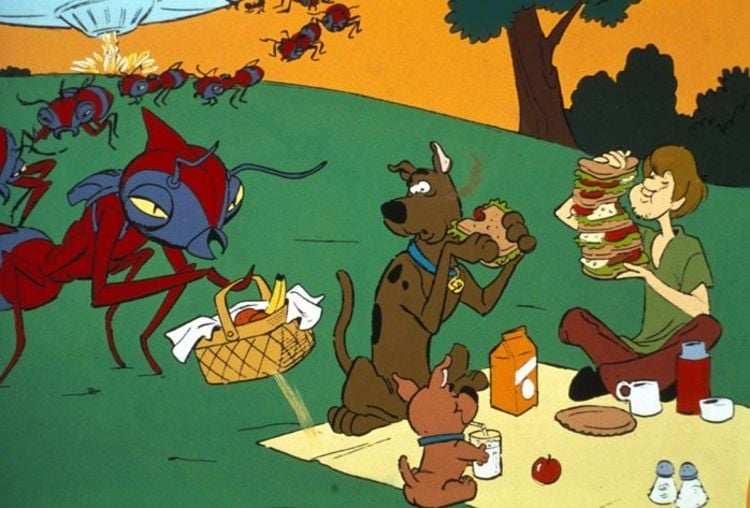 Produktbild: Scooby-Doo & Scrappy-Doo - Die komplette Staffel 1 [2 DVDs]