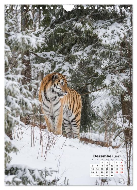 Produktbild: Emotionale Momente: Raubkatzen - die schnellen J&auml;ger. (Wandkalender 2027 DIN A4 hoch), CALVENDO Monatskalender