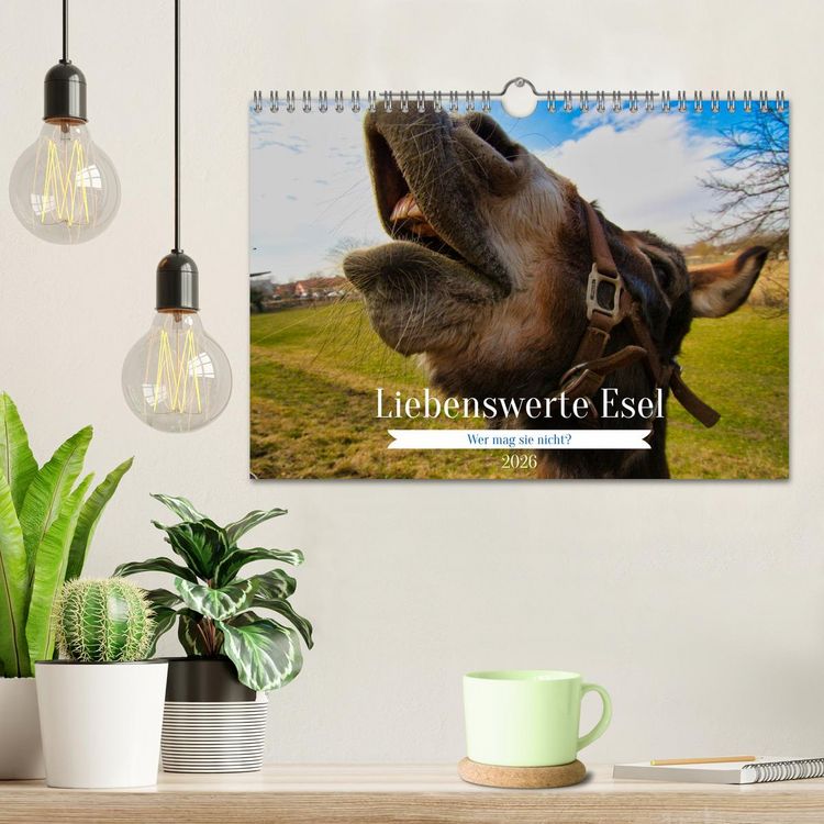 Produktbild: Liebenswerte Esel (Wandkalender 2026 DIN A4 quer), CALVENDO Monatskalender