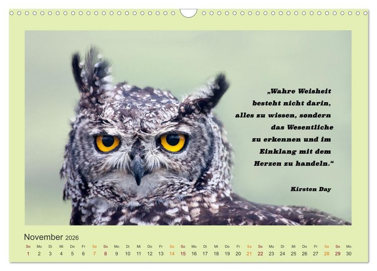 Produktbild: Co-Kreation, Gemeinsam Wunder erschaffen (Wandkalender 2026 DIN A3 quer), CALVENDO Monatskalender