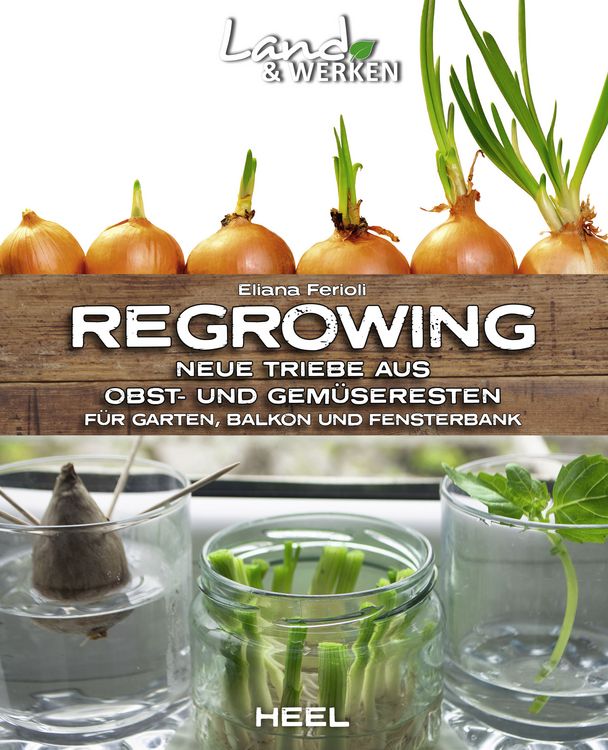 Produktbild: Regrowing &ndash; Neue Triebe aus Obst- und Gem&uuml;seresten