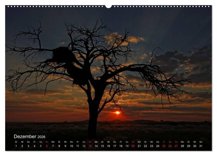 Produktbild: Afrikanische B&auml;ume (hochwertiger Premium Wandkalender 2026 DIN A2 quer), Kunstdruck in Hochglanz