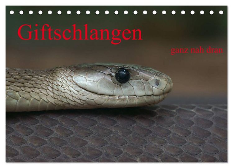 Produktbild: Giftschlangen, ganz nah dran (Tischkalender 2026 DIN A5 quer), CALVENDO Monatskalender