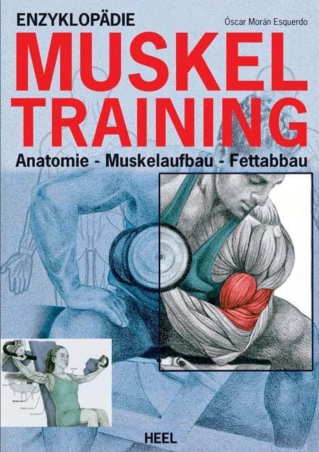 Produktbild: Enzyklop&auml;die Muskeltraining