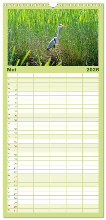 Produktbild: Familienplaner 2026 - Heimische V&ouml;gel mit 5 Spalten (Wandkalender, 21 x 45 cm) CALVENDO