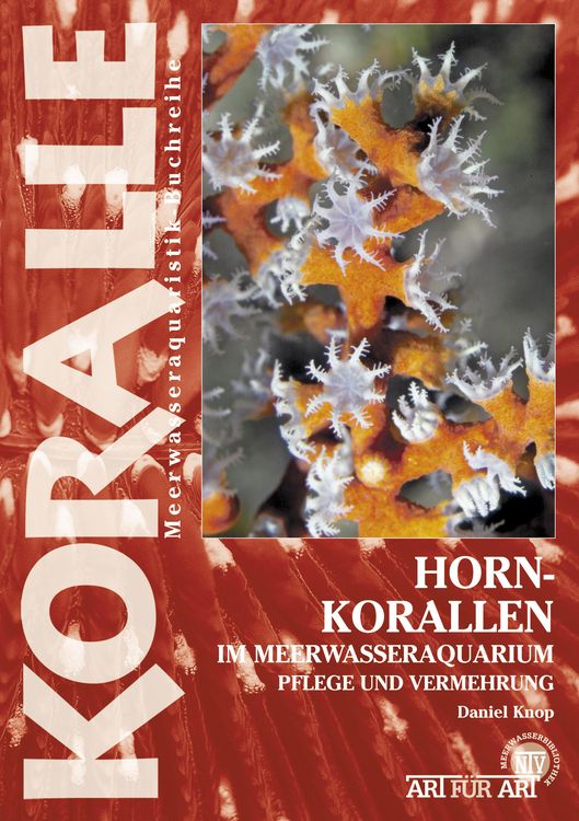 Produktbild: Hornkorallen im Meerwasseraquarium