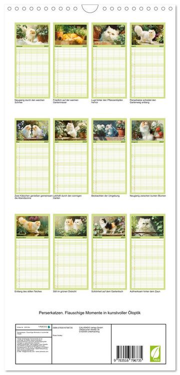 Produktbild: Familienplaner 2027 - Perserkatzen. Flauschige Momente in kunstvoller &Ouml;loptik mit 5 Spalten (Wandkalender, 21 x 45 cm) CALVENDO