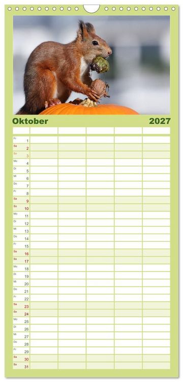 Produktbild: Familienplaner 2027 - Eichh&ouml;rnchen Momentaufnahmen f&uuml;rs Herz mit 5 Spalten (Wandkalender, 21 x 45 cm) CALVENDO