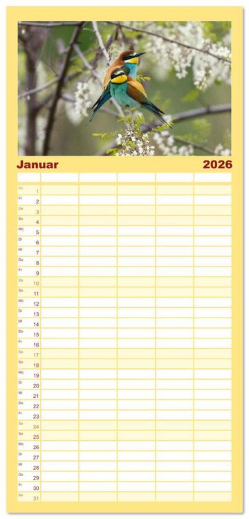 Produktbild: Familienplaner 2026 - Bunte Flieger mit 5 Spalten (Wandkalender, 21 x 45 cm) CALVENDO