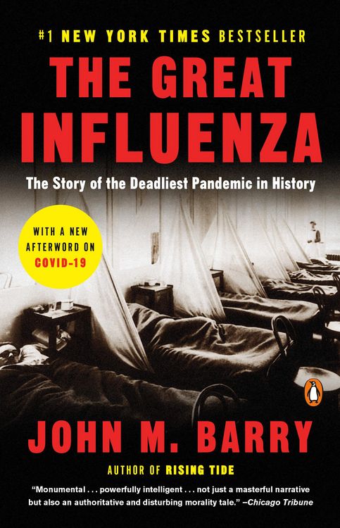Produktbild: The Great Influenza