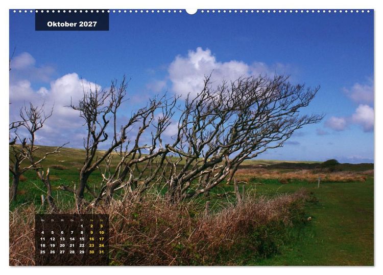 Produktbild: Texel Insel mit Charakter (Wandkalender 2027 DIN A2 quer), CALVENDO Monatskalender