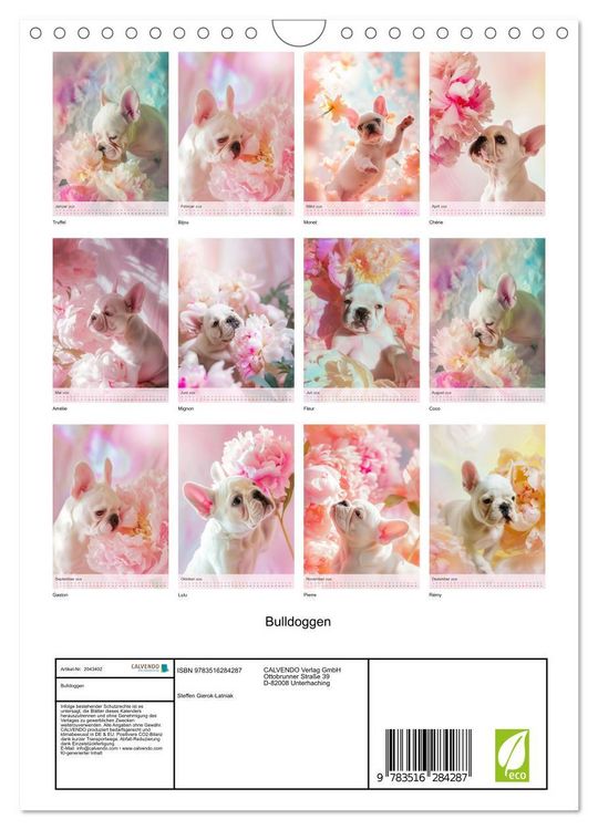 Produktbild: Bulldoggen (Wandkalender 2026 DIN A4 hoch), CALVENDO Monatskalender