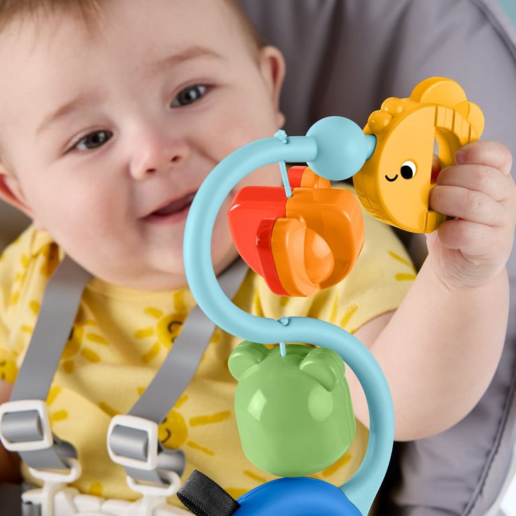 Produktbild: Fisher-Price Balanced Beginnings Suction Cup Toy