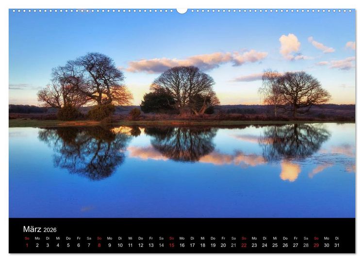 Produktbild: New Forest - England (Wandkalender 2026 DIN A2 quer), CALVENDO Monatskalender