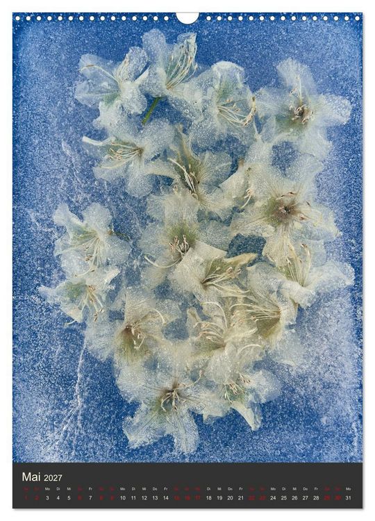 Produktbild: Magische Eisblumen (Wandkalender 2027 DIN A3 hoch), CALVENDO Monatskalender