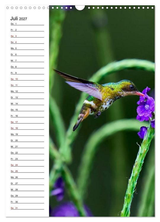 Produktbild: Costa Rica - Magische Tiere des Regenwaldes (Wandkalender 2027 DIN A3 hoch), CALVENDO Monatskalender