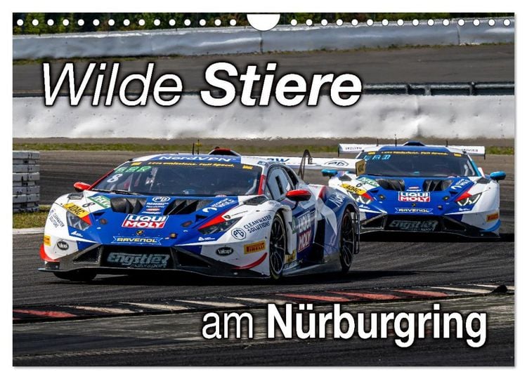 Produktbild: Wilde Stiere am N&uuml;rburgring (Wandkalender 2026 DIN A4 quer), CALVENDO Monatskalender