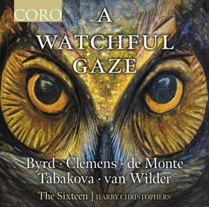Produktbild: A Watchful Gaze