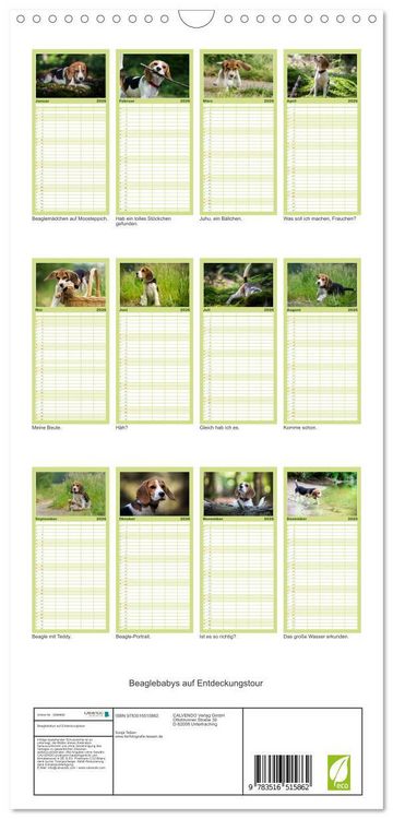 Produktbild: Familienplaner 2026 - Beaglebabys auf Entdeckungstour mit 5 Spalten (Wandkalender, 21 x 45 cm) CALVENDO