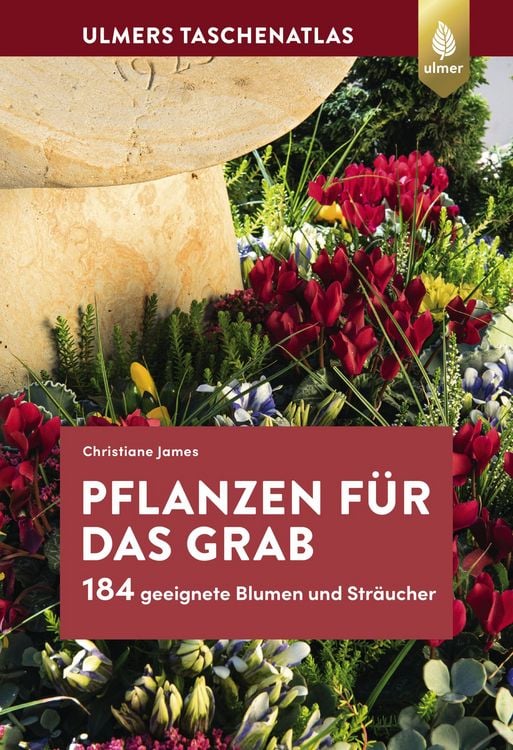 Produktbild: Pflanzen f&uuml;r das Grab