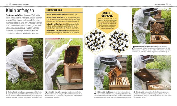 Produktbild: Das Bienen Buch