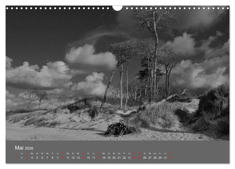 Produktbild: Ostsee - von schwarz bis wei&szlig; (Wandkalender 2026 DIN A3 quer), CALVENDO Monatskalender