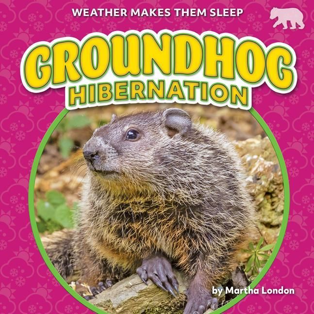 Produktbild: Groundhog Hibernation