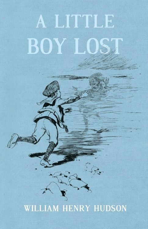 Produktbild: A Little Boy Lost