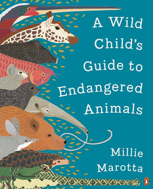 Produktbild: A Wild Child's Guide to Endangered Animals