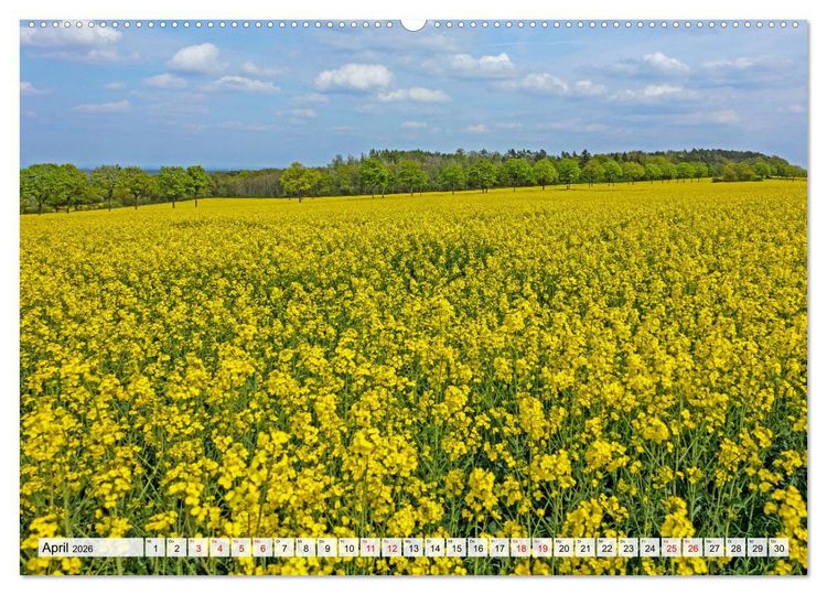 Produktbild: Die Eifel und das Hohe Venn (Wandkalender 2026 DIN A2 quer), CALVENDO Monatskalender