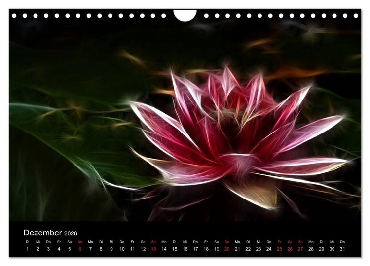 Produktbild: Floral Abstrakt 2026 (Wandkalender 2026 DIN A4 quer), CALVENDO Monatskalender