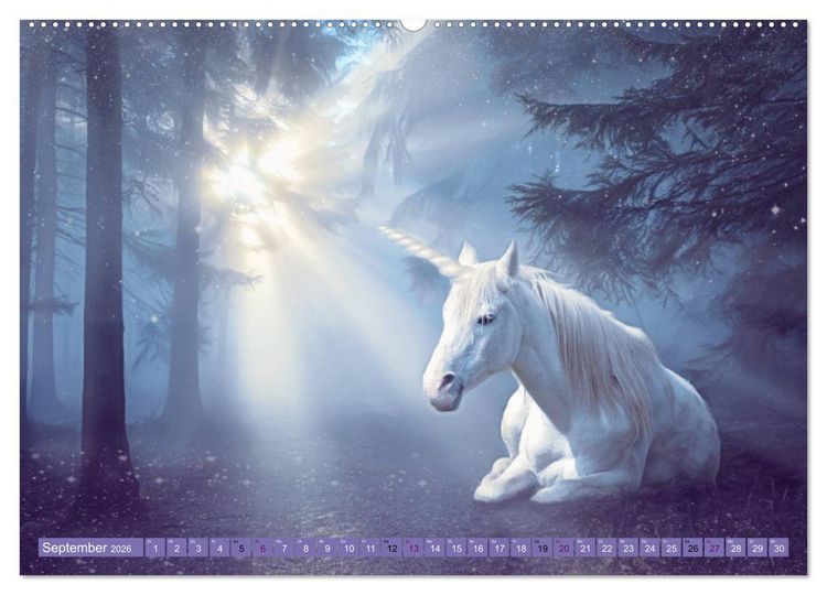 Produktbild: Einhorn Welt - vertr&auml;umte Einhornbilder (hochwertiger Premium Wandkalender 2026 DIN A2 quer), Kunstdruck in Hochglanz