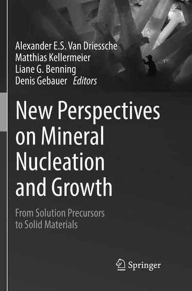 Produktbild: New Perspectives on Mineral Nucleation and Growth