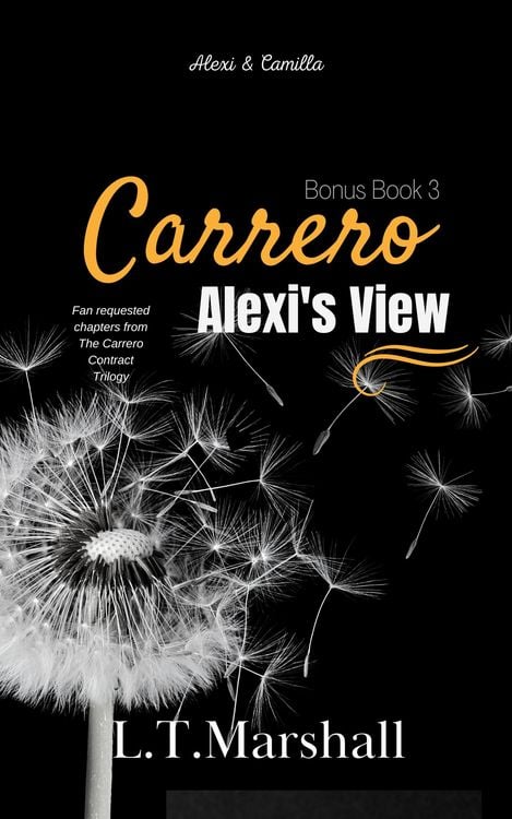 Produktbild: Carrero - Alexi's View Bonus Book 3