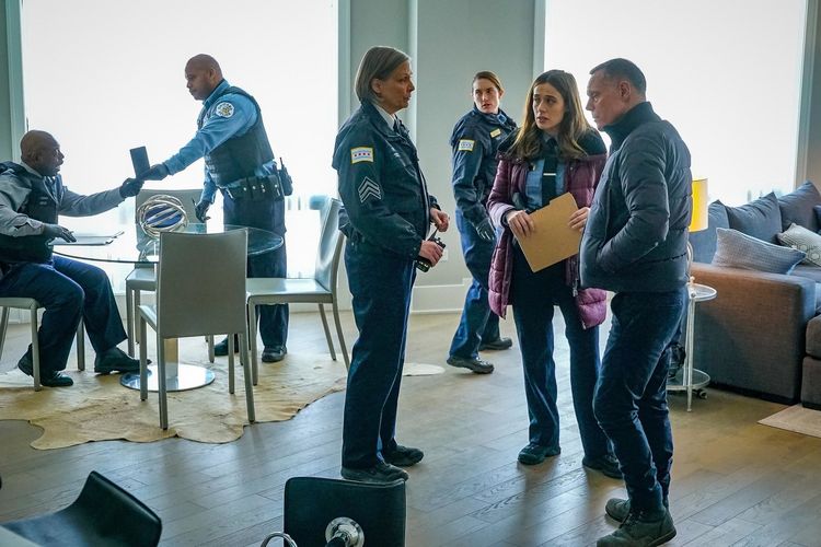 Chicago P.D. - Season 7 [6 DVDs]