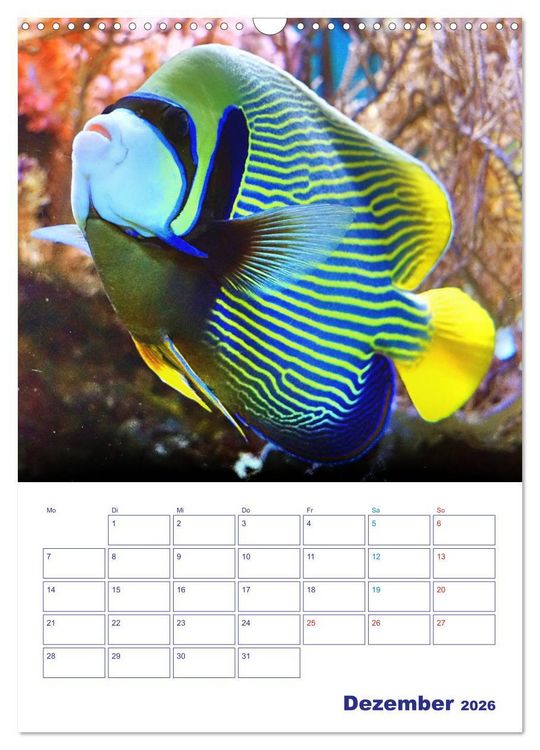 Produktbild: Bunte Meereswelten (Wandkalender 2026 DIN A3 hoch), CALVENDO Monatskalender