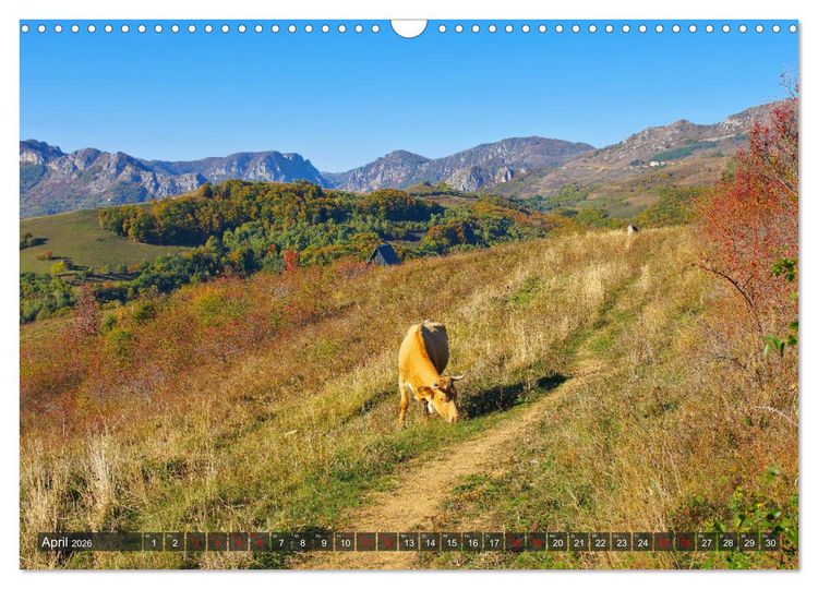 Produktbild: TransApuseni - Sch&ouml;nste Panoramastra&szlig;e in Siebenb&uuml;rgen (Wandkalender 2026 DIN A3 quer), CALVENDO Monatskalender