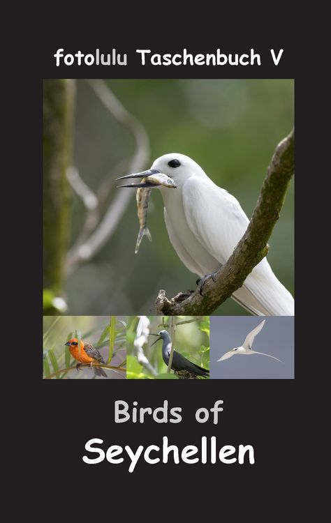 Produktbild: Birds of Seychellen