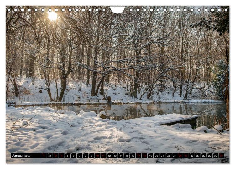 Produktbild: Wege des einfachen Gl&uuml;cks - Spazierg&auml;nge im Wald (Wandkalender 2026 DIN A4 quer), CALVENDO Monatskalender