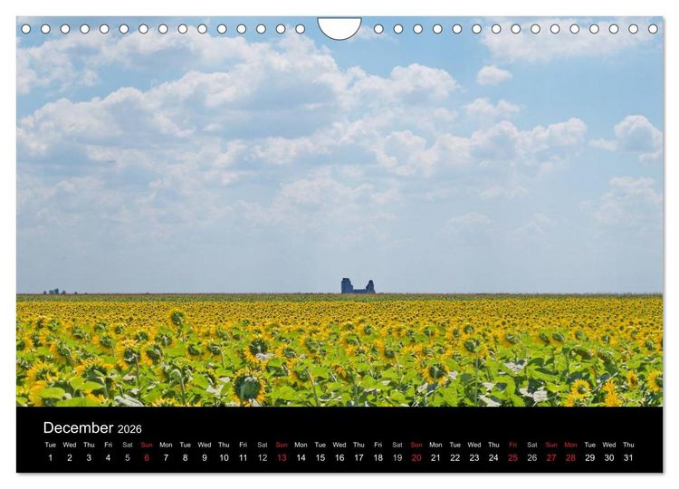 Produktbild: Monuments of Serbia 2026 (Wall Calendar 2026 DIN A4 landscape), CALVENDO 12 Month Wall Calendar